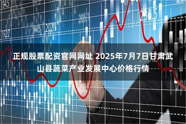 正规股票配资官网网址 2025年7月7日甘肃武山县蔬菜产业发展中心价格行情