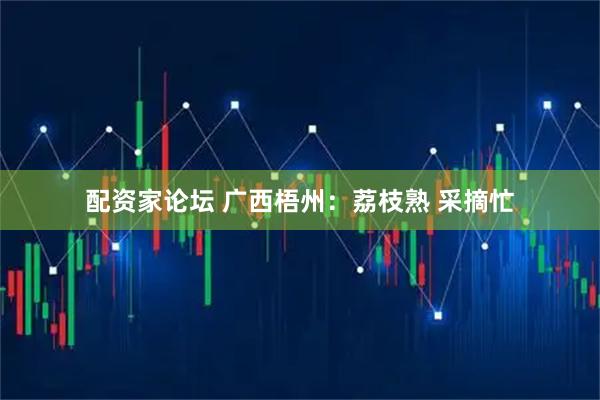 配资家论坛 广西梧州：荔枝熟 采摘忙